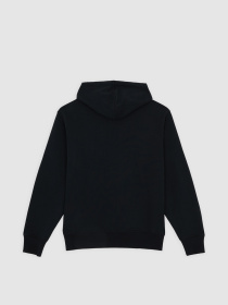 Худі Dickies Williston модель DK0A87NOBLK1 Фото