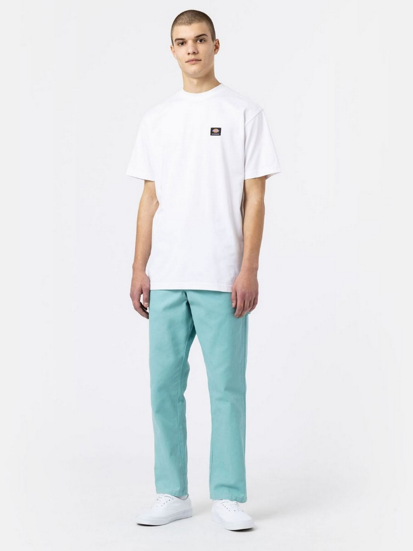 Футболка Dickies Mount Vista Ss модель DK0A4XOUWHX1 Фото