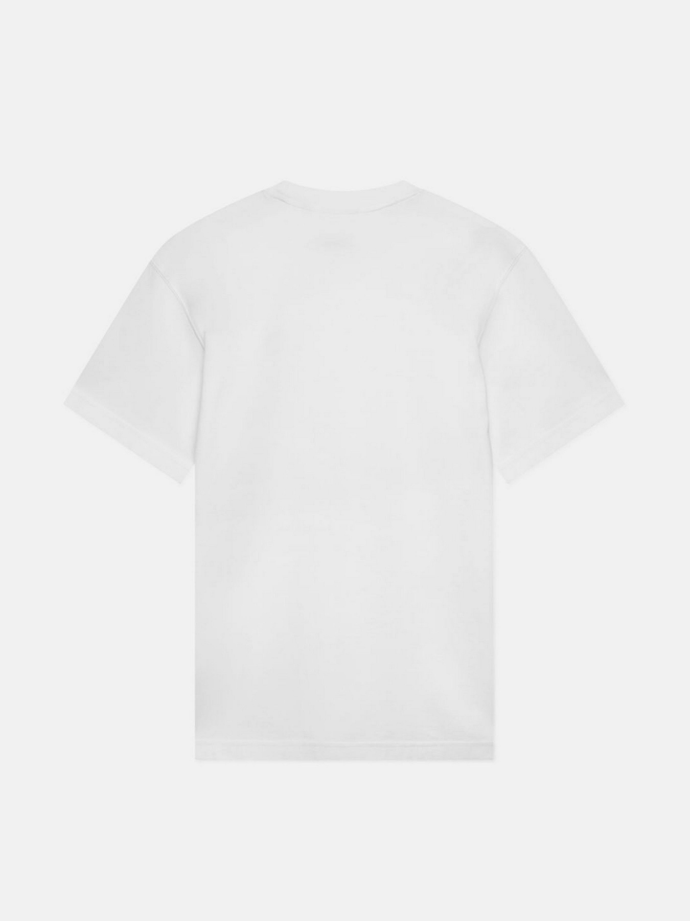 Футболка Dickies Mount Vista Ss модель DK0A4XOUWHX1 Фото