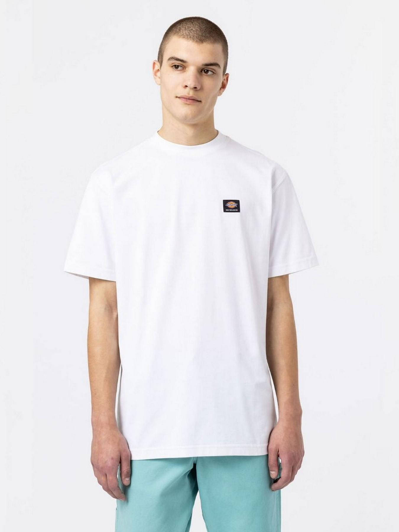 Футболка Dickies Mount Vista Ss модель DK0A4XOUWHX1 Фото