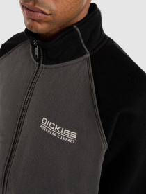 Кофта Dickies Bolivar модель DK0A87NTBLK1 Фото