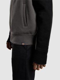 Кофта Dickies Bolivar модель DK0A87NTBLK1 Фото