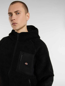 Флісова кофта Dickies модель DK0A87NVBLK1 Фото