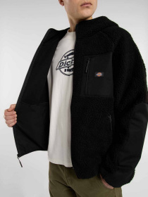 Флісова кофта Dickies модель DK0A87NVBLK1 Фото