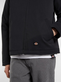 Демісезонна куртка Dickies модель DK0A87O6BLK1 Фото