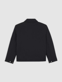 Демісезонна куртка Dickies модель DK0A87O6BLK1 Фото