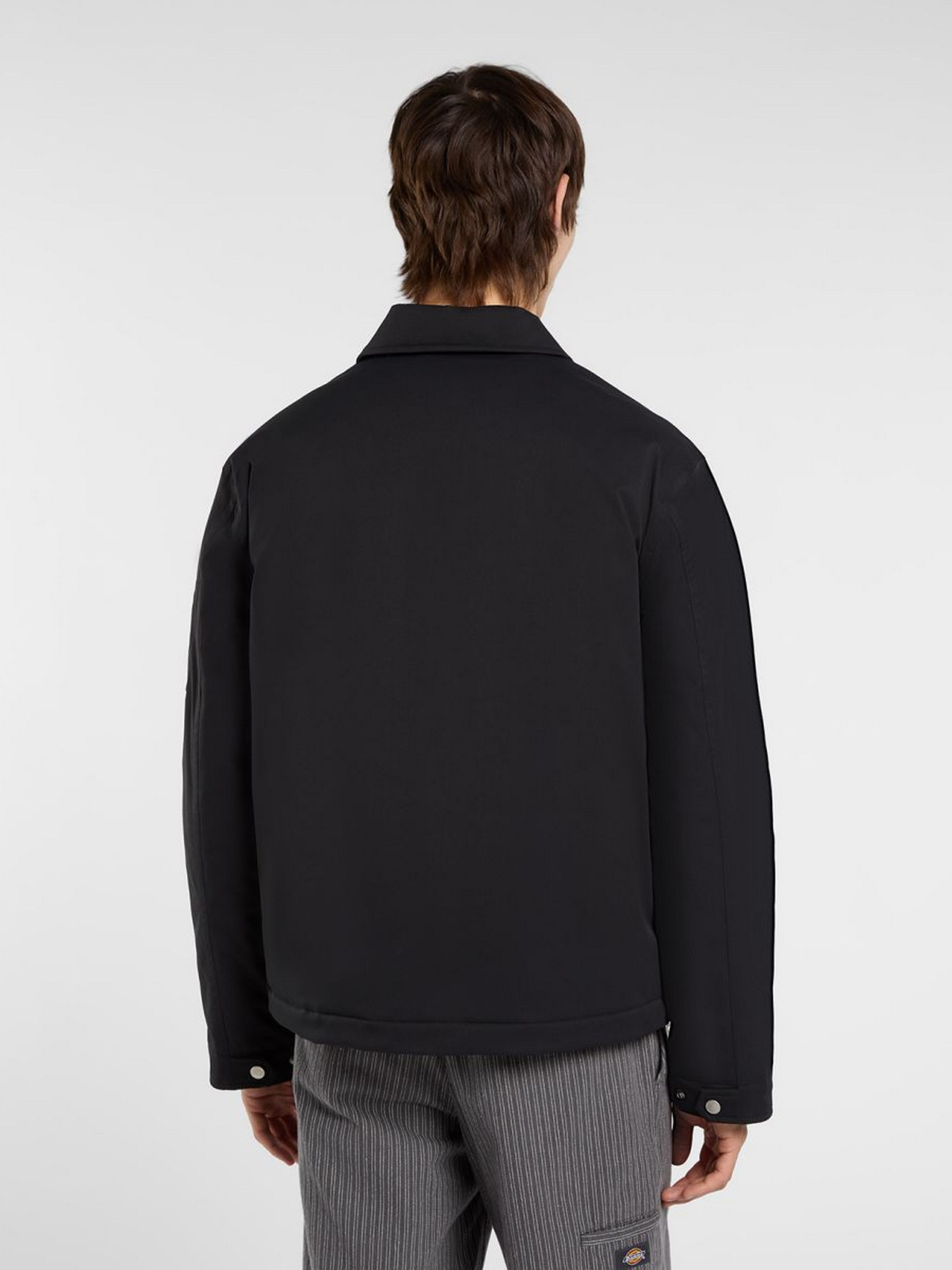 Демісезонна куртка Dickies модель DK0A87O6BLK1 Фото