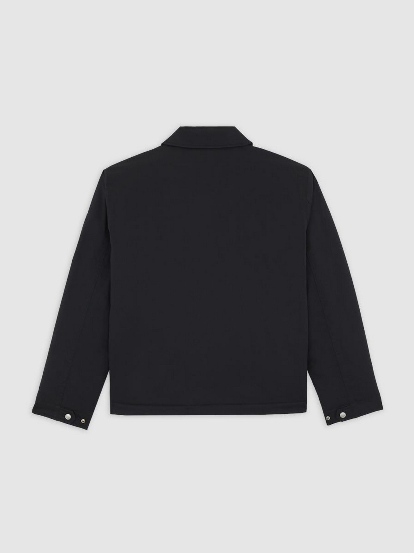 Демісезонна куртка Dickies модель DK0A87O6BLK1 Фото