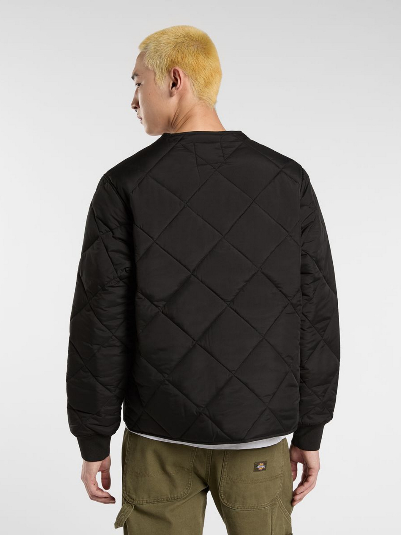 Демісезонна куртка Dickies модель DK0A87O7BLK1 Фото