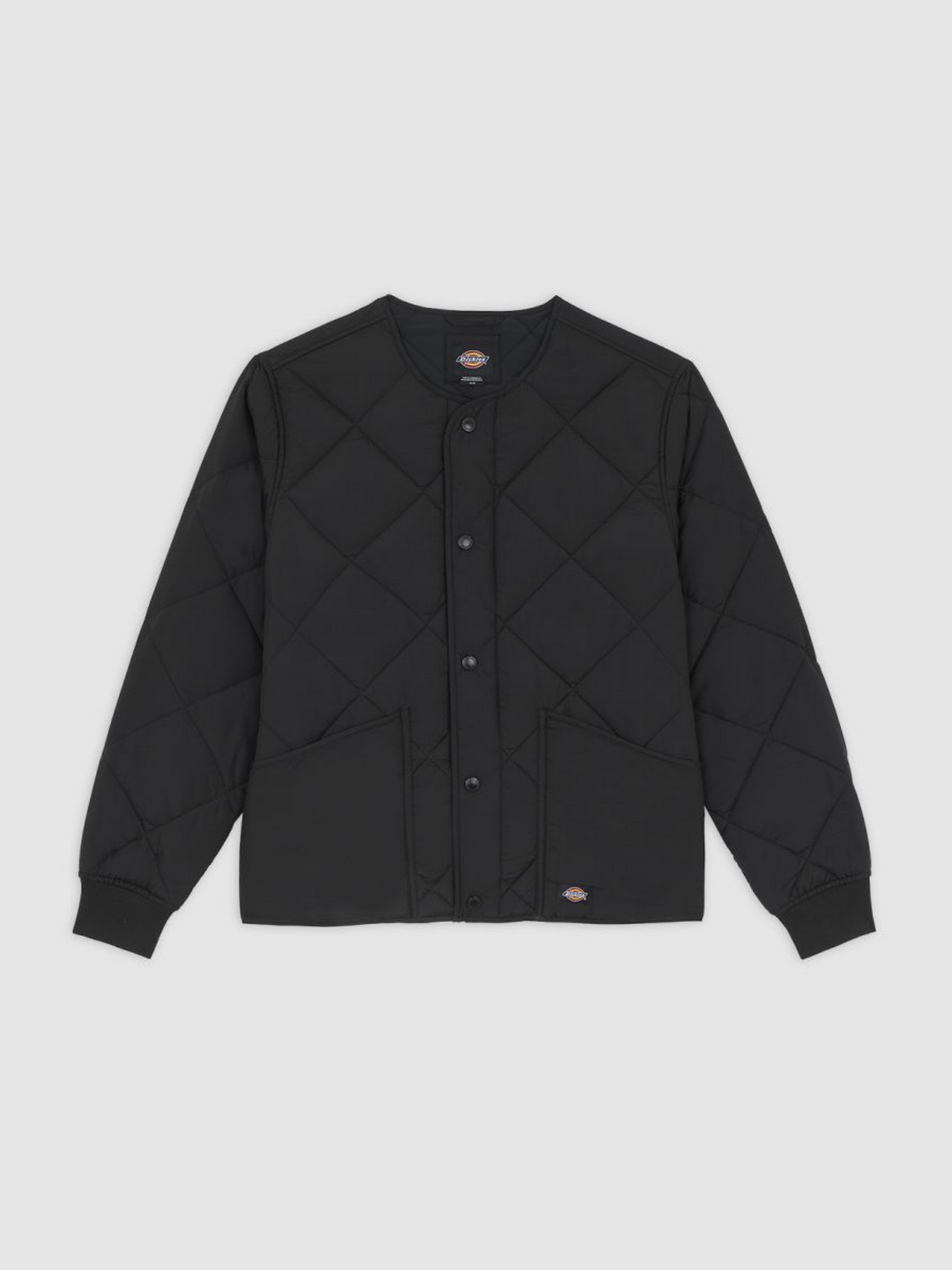 Демісезонна куртка Dickies модель DK0A87O7BLK1 Фото