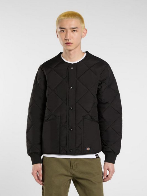 Демисезонная куртка Dickies модель DK0A87O7BLK1 Фото