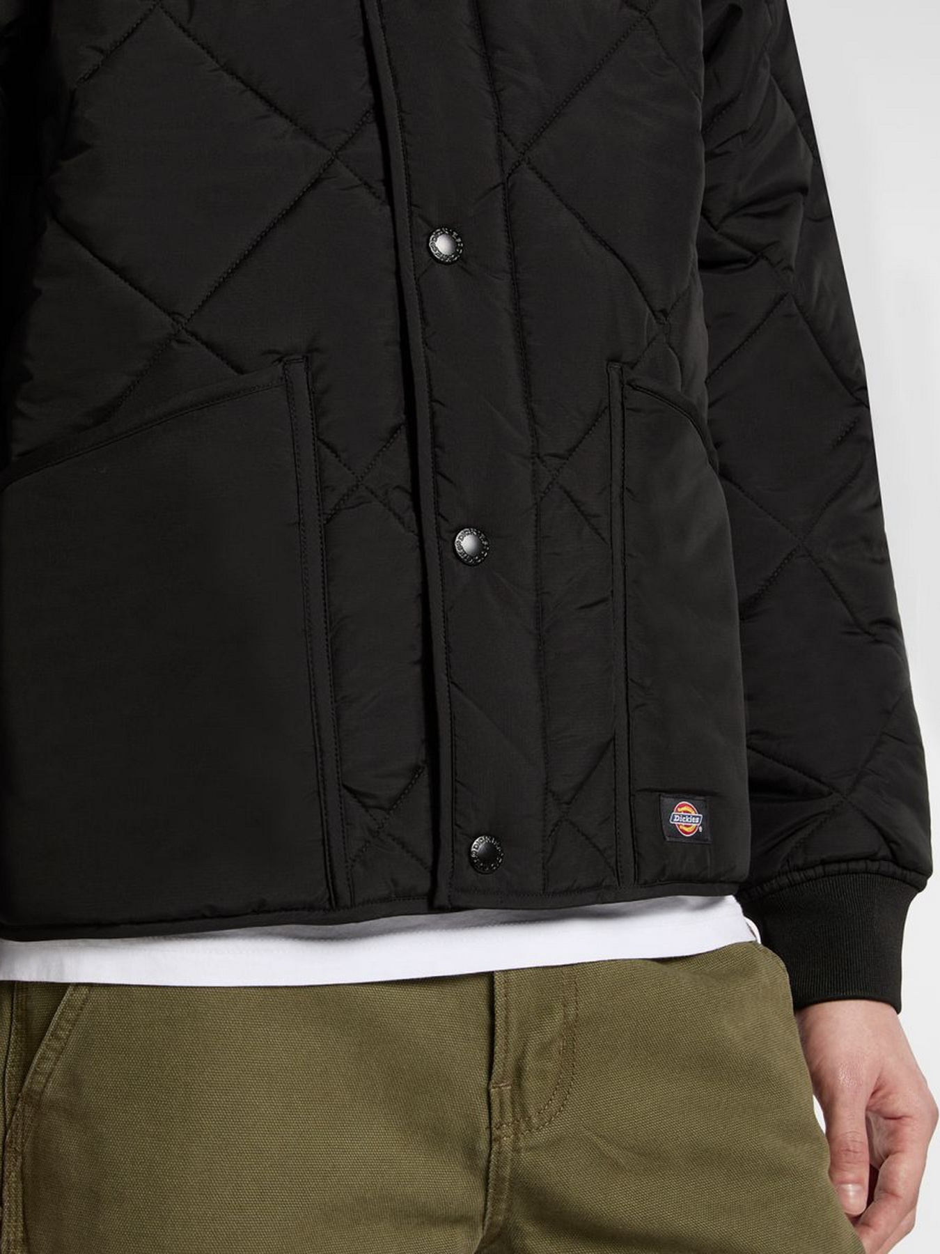 Демисезонная куртка Dickies модель DK0A87O7BLK1 Фото