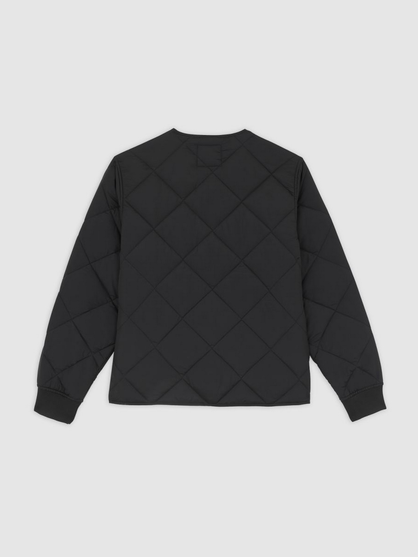 Демисезонная куртка Dickies модель DK0A87O7BLK1 Фото