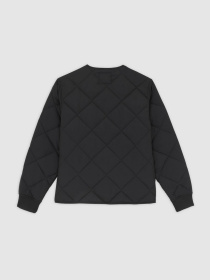 Демисезонная куртка Dickies модель DK0A87O7BLK1 Фото