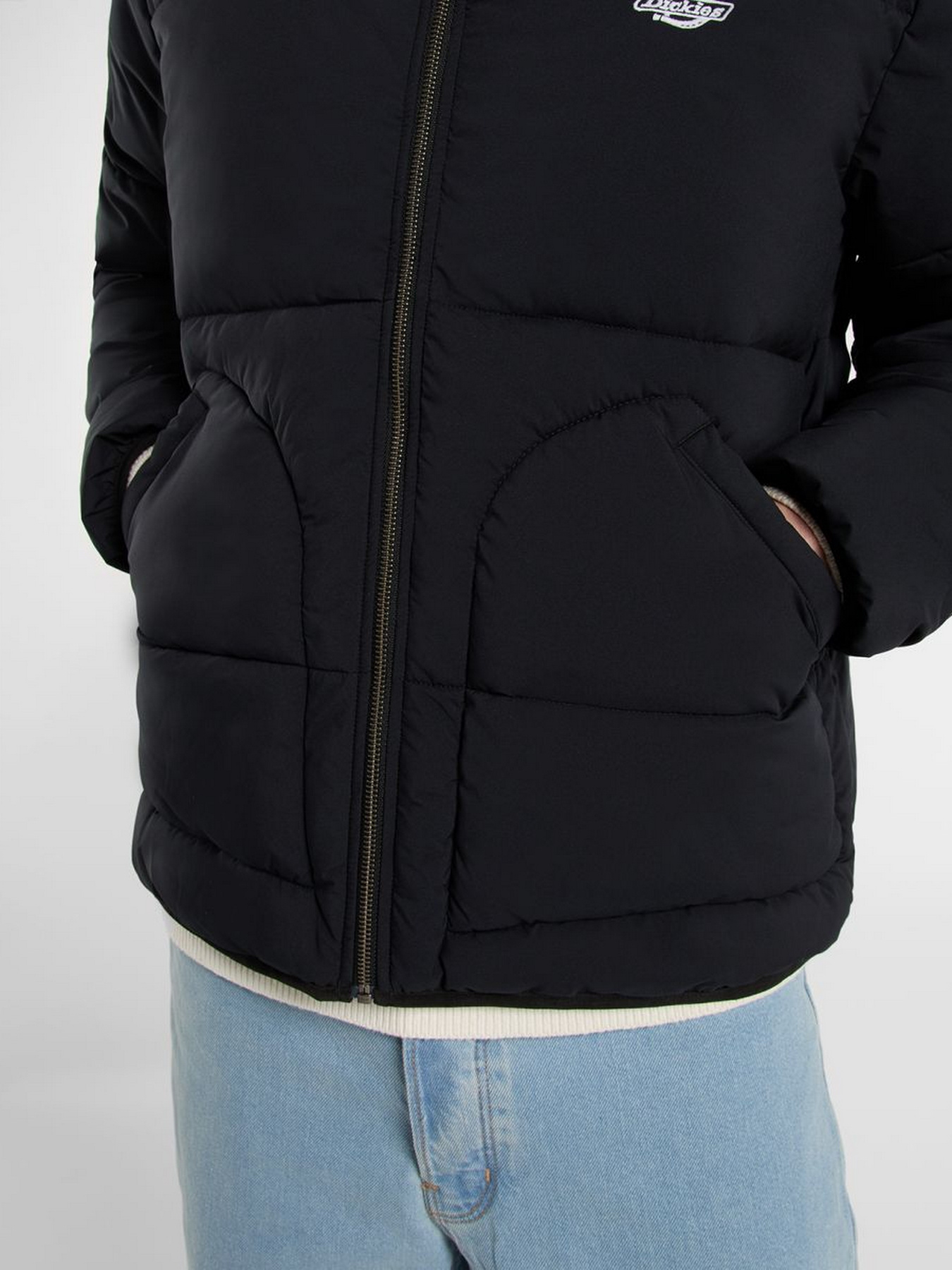 Зимняя куртка Dickies модель DK0A87OGBLK1 Фото