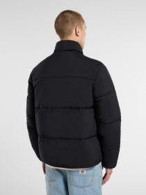 Зимняя куртка Dickies модель DK0A87OGBLK1 Фото