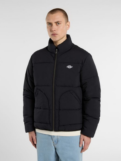 Зимняя куртка Dickies модель DK0A87OGBLK1 Фото