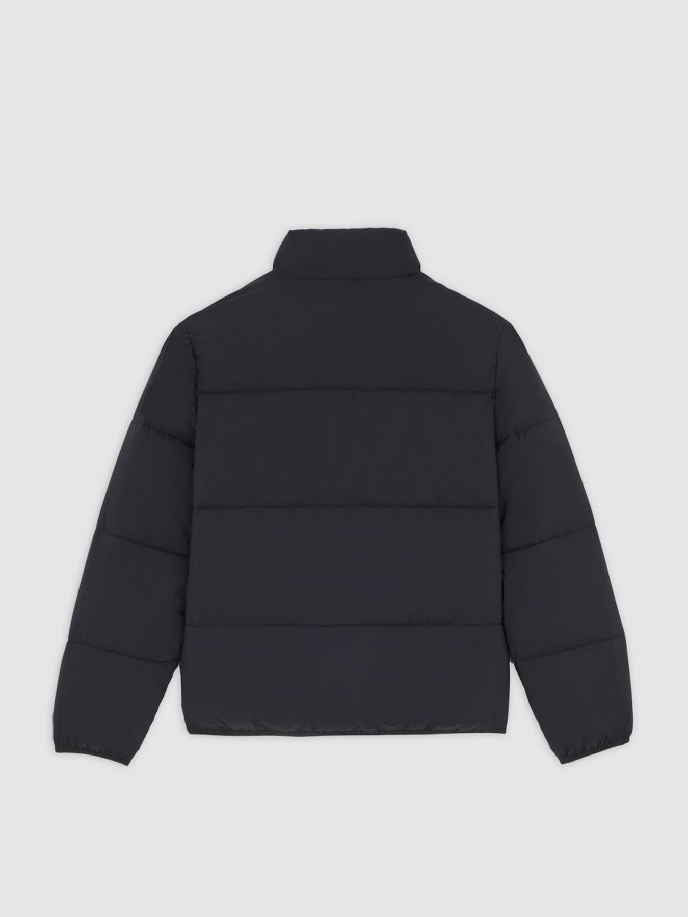 Зимова куртка Dickies модель DK0A87OGBLK1 Фото