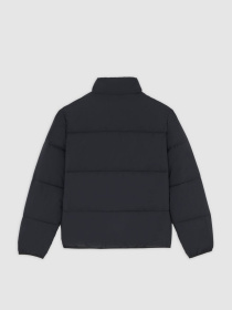 Зимова куртка Dickies модель DK0A87OGBLK1 Фото