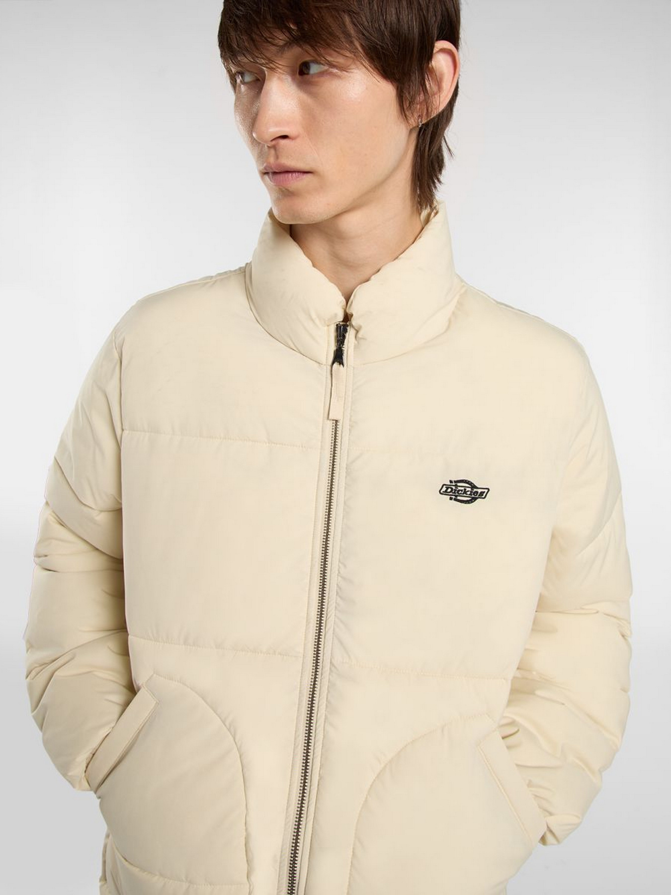 Зимова куртка Dickies модель DK0A87OGL171 Фото