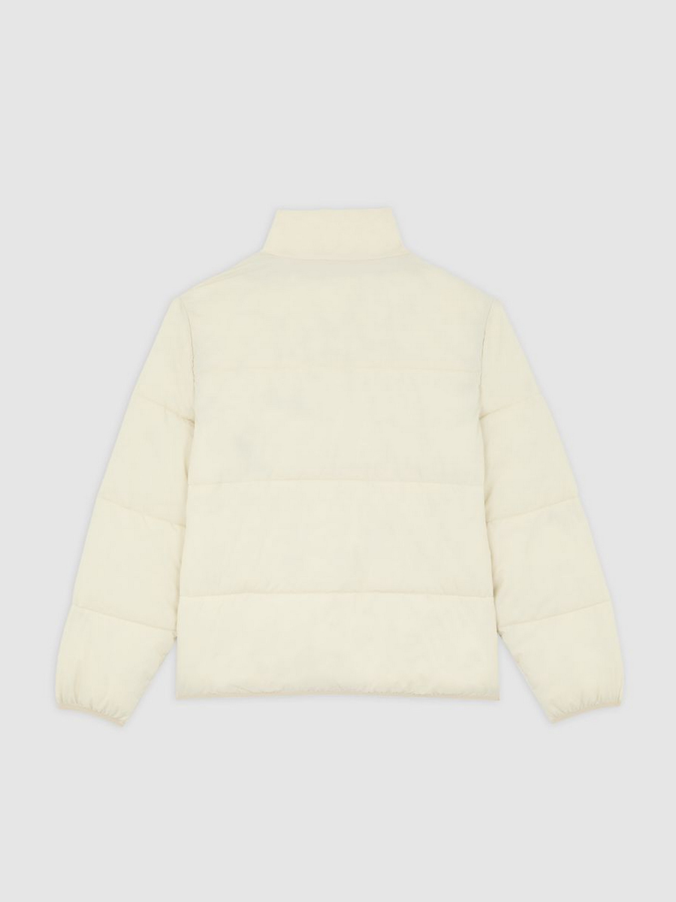 Зимова куртка Dickies модель DK0A87OGL171 Фото