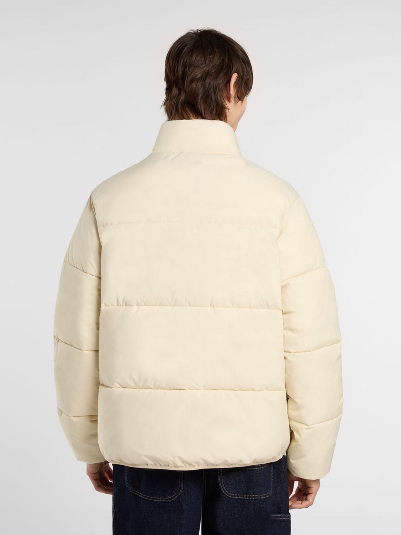 Зимняя куртка Dickies модель DK0A87OGL171 Фото