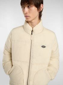 Зимняя куртка Dickies модель DK0A87OGL171 Фото