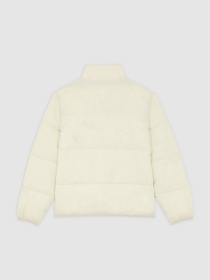 Зимняя куртка Dickies модель DK0A87OGL171 Фото