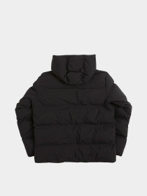 Зимняя куртка Dickies модель DK0A87OHBLK1 Фото