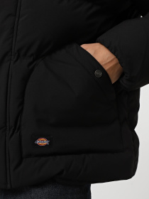 Зимова куртка Dickies модель DK0A87OHBLK1 Фото