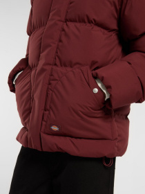 Зимняя куртка Dickies модель DK0A87OHL161 Фото