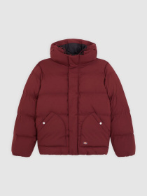 Зимняя куртка Dickies модель DK0A87OHL161 Фото