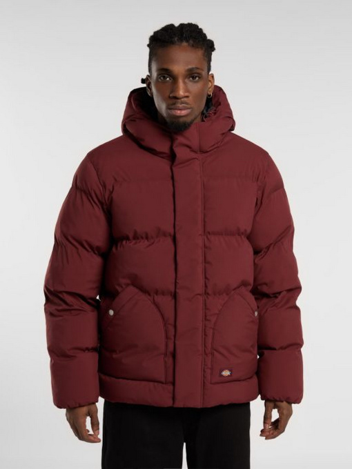 Зимова куртка Dickies модель DK0A87OHL161 Фото