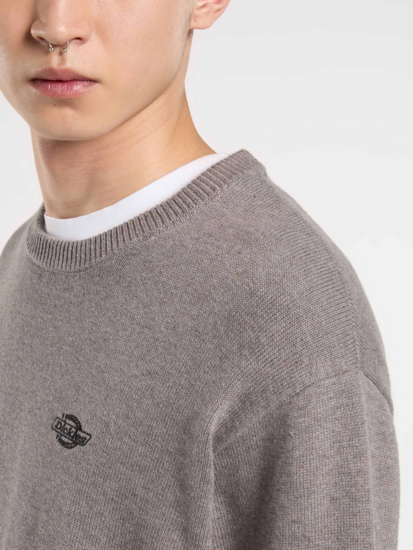 Джемпер Dickies модель DK0A87OPK631 Фото