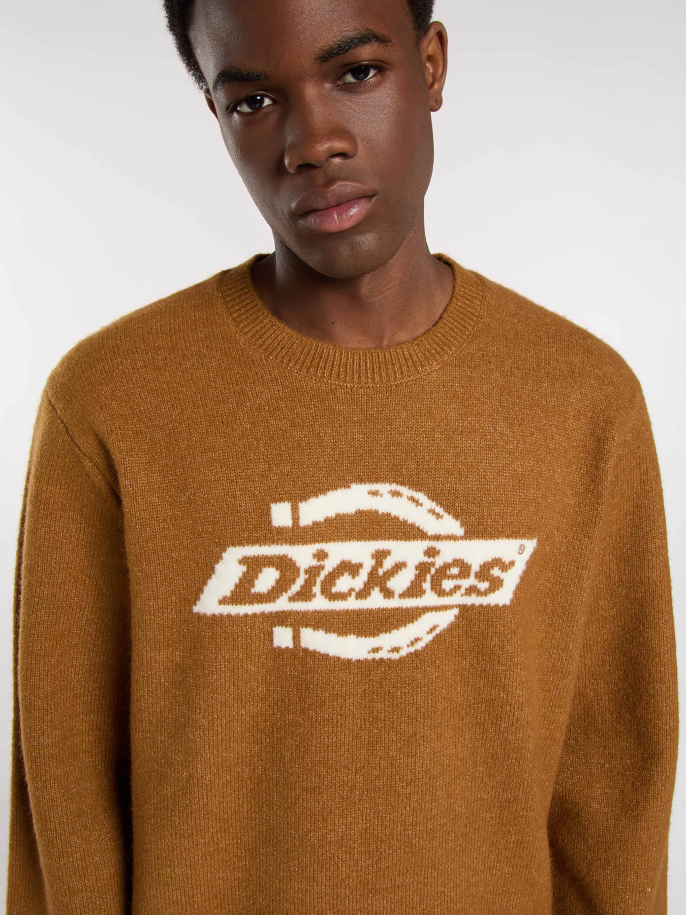 Джемпер Dickies модель DK0A87OQ0BD1 Фото