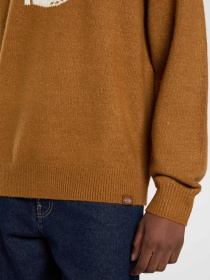 Джемпер Dickies модель DK0A87OQ0BD1 Фото