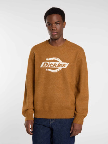 Джемпер Dickies модель DK0A87OQ0BD1 Фото