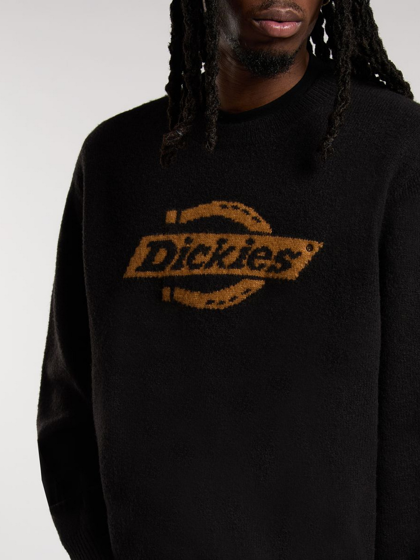 Джемпер Dickies модель DK0A87OQBLK1 Фото