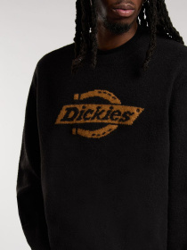 Джемпер Dickies модель DK0A87OQBLK1 Фото