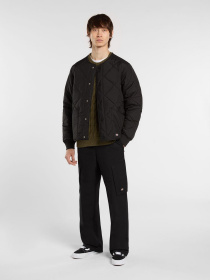 Брюки повседневные Dickies модель DK0A87PJBLK1 Фото