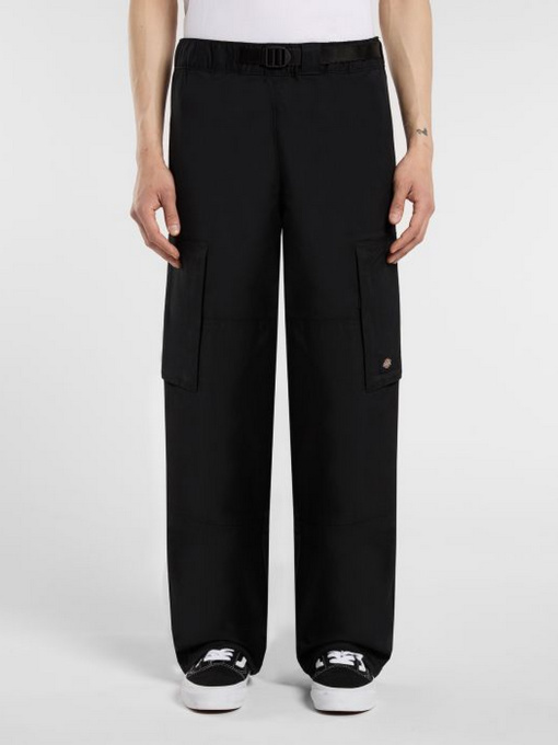 Повсякденні штани Dickies модель DK0A87PJBLK1 Фото