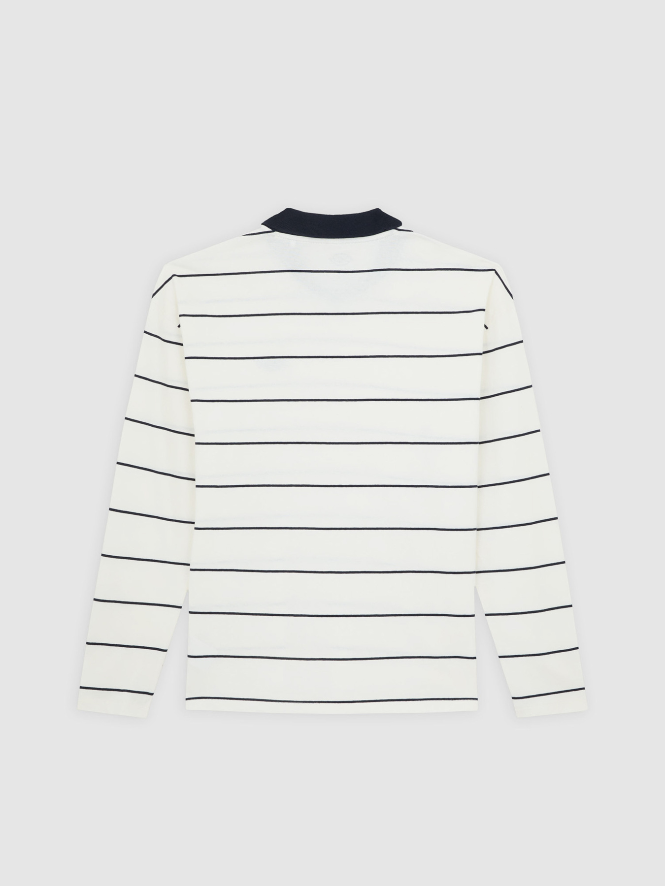 Лонгслів Dickies Summerdale Rugby модель DK0A87Q8C481 Фото