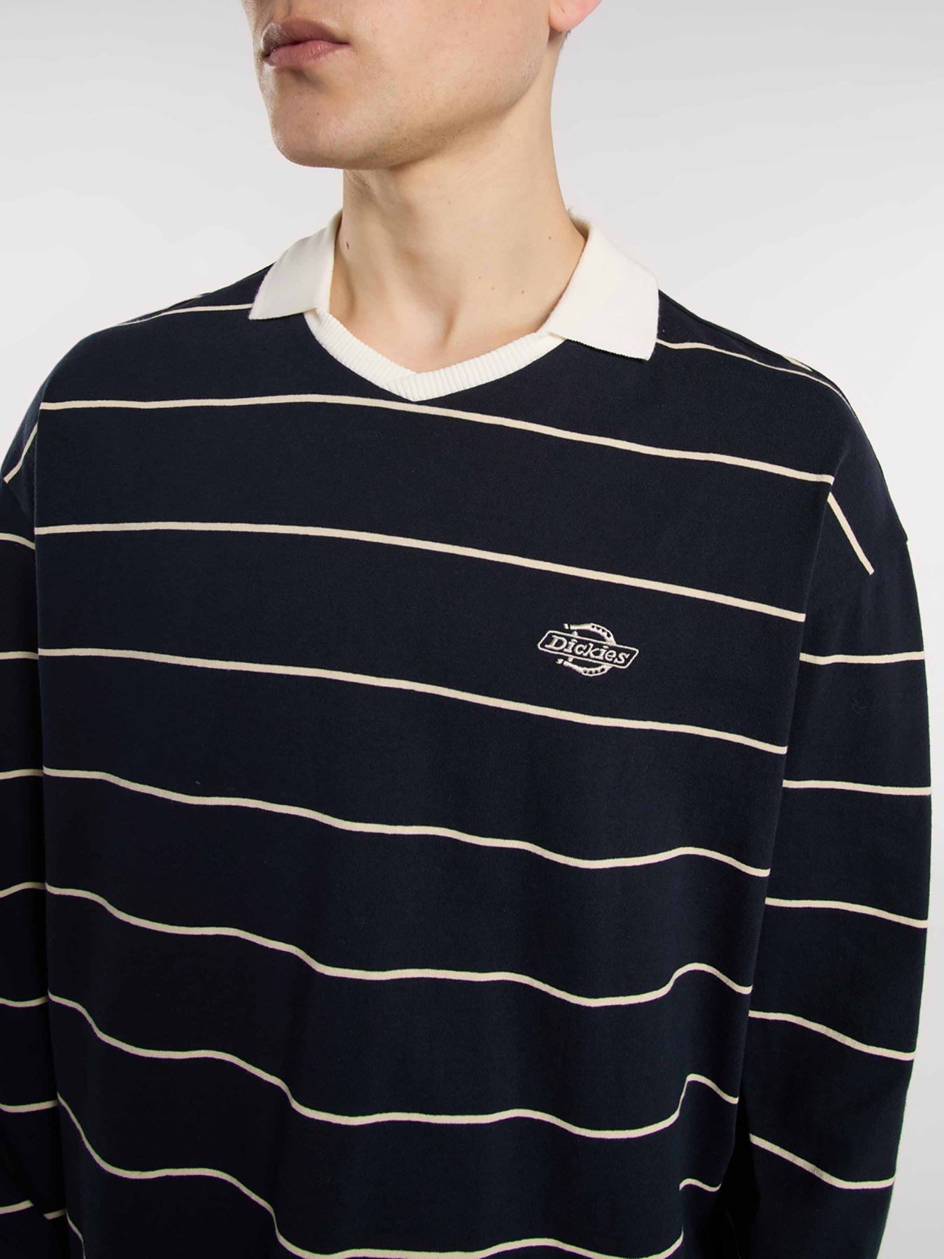 Лонгслив Dickies Summerdale Rugby модель DK0A87Q8L181 Фото