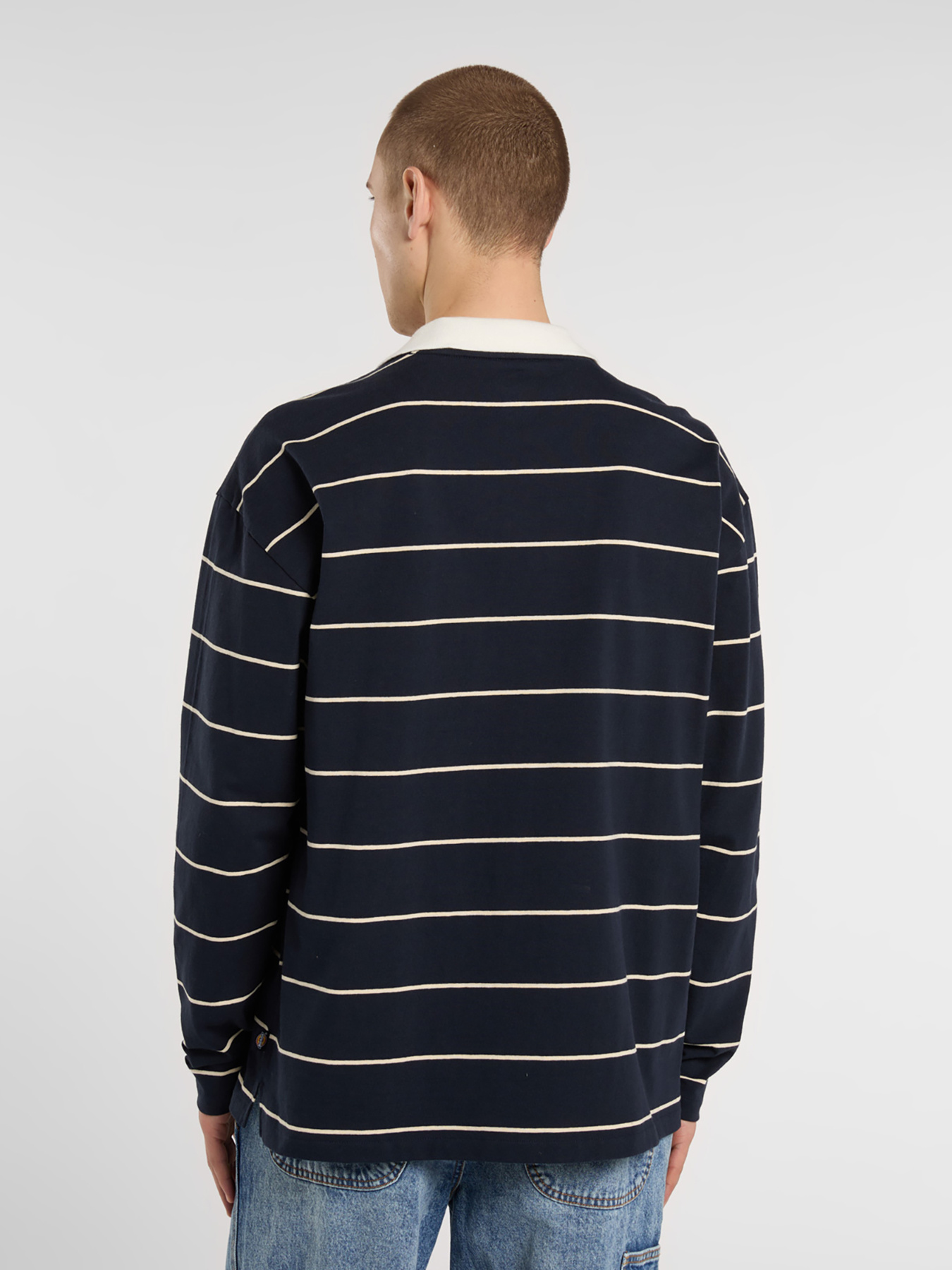 Лонгслив Dickies Summerdale Rugby модель DK0A87Q8L181 Фото