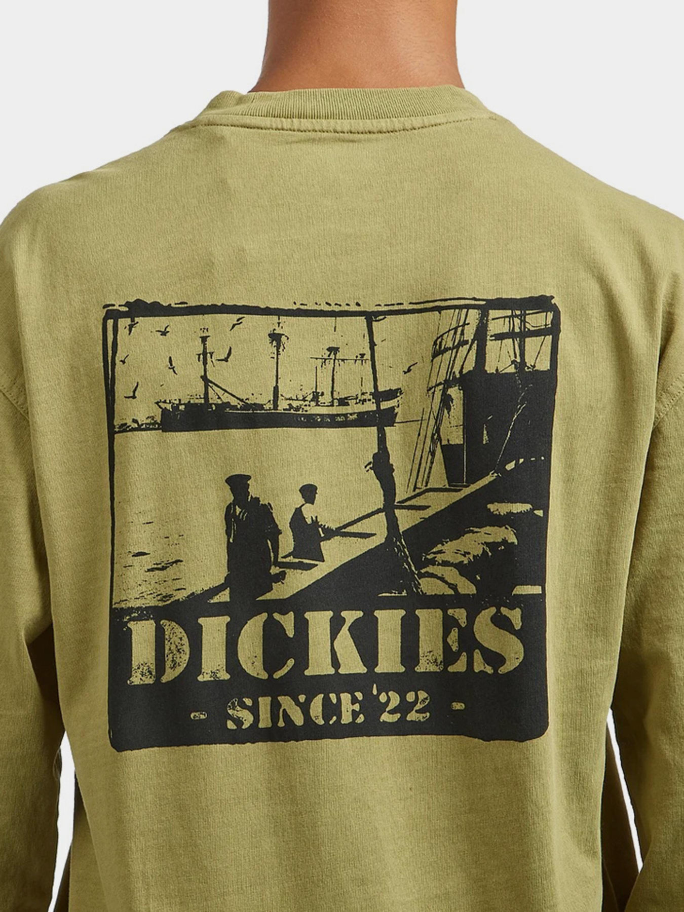 Лонгслив Dickies модель DK0A87QFL201 Фото