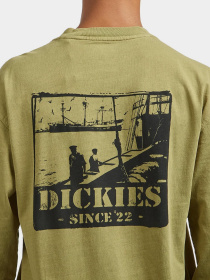 Лонгслив Dickies модель DK0A87QFL201 Фото