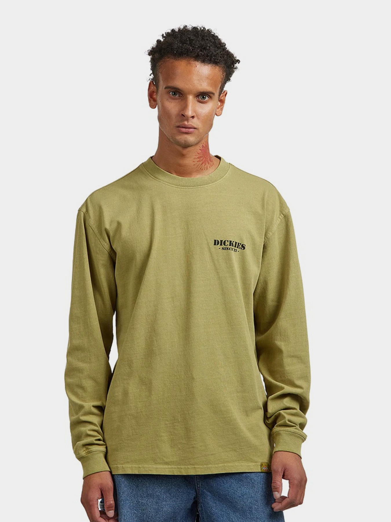 Лонгслив Dickies модель DK0A87QFL201 Фото