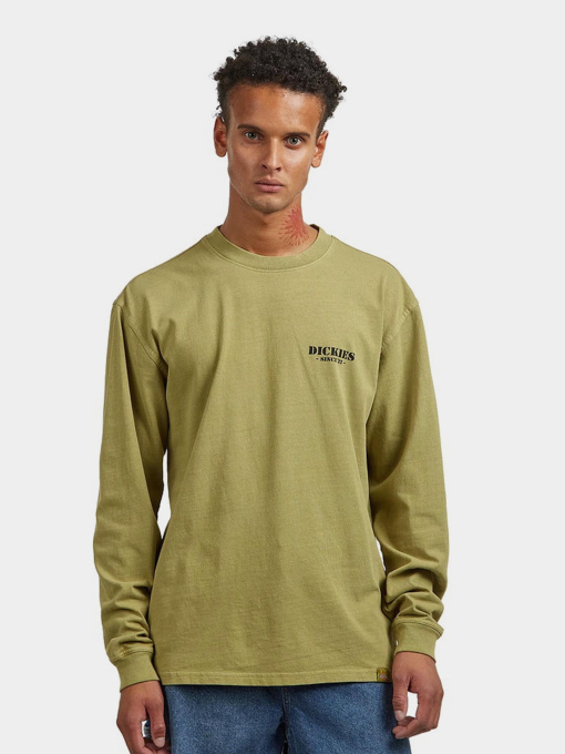 Лонгслів Dickies модель DK0A87QFL201 Фото