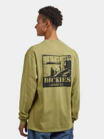 Лонгслив Dickies модель DK0A87QFL201 Фото