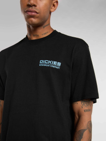 Футболка Dickies модель DK0A87QKBLK1 Фото